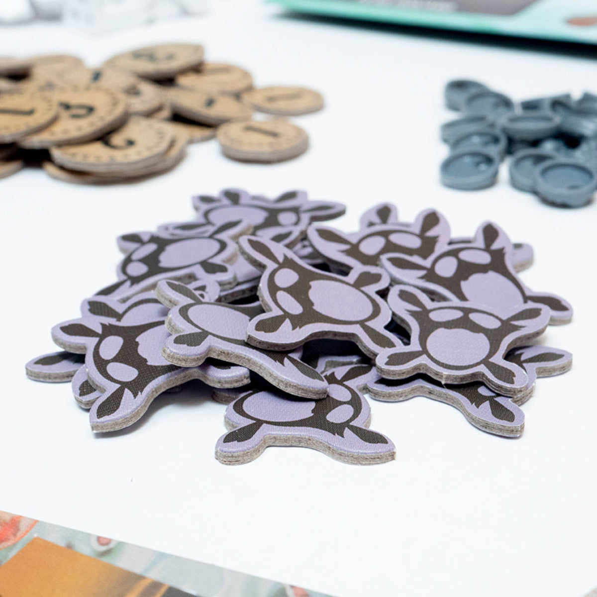 Spirit Island Core Game