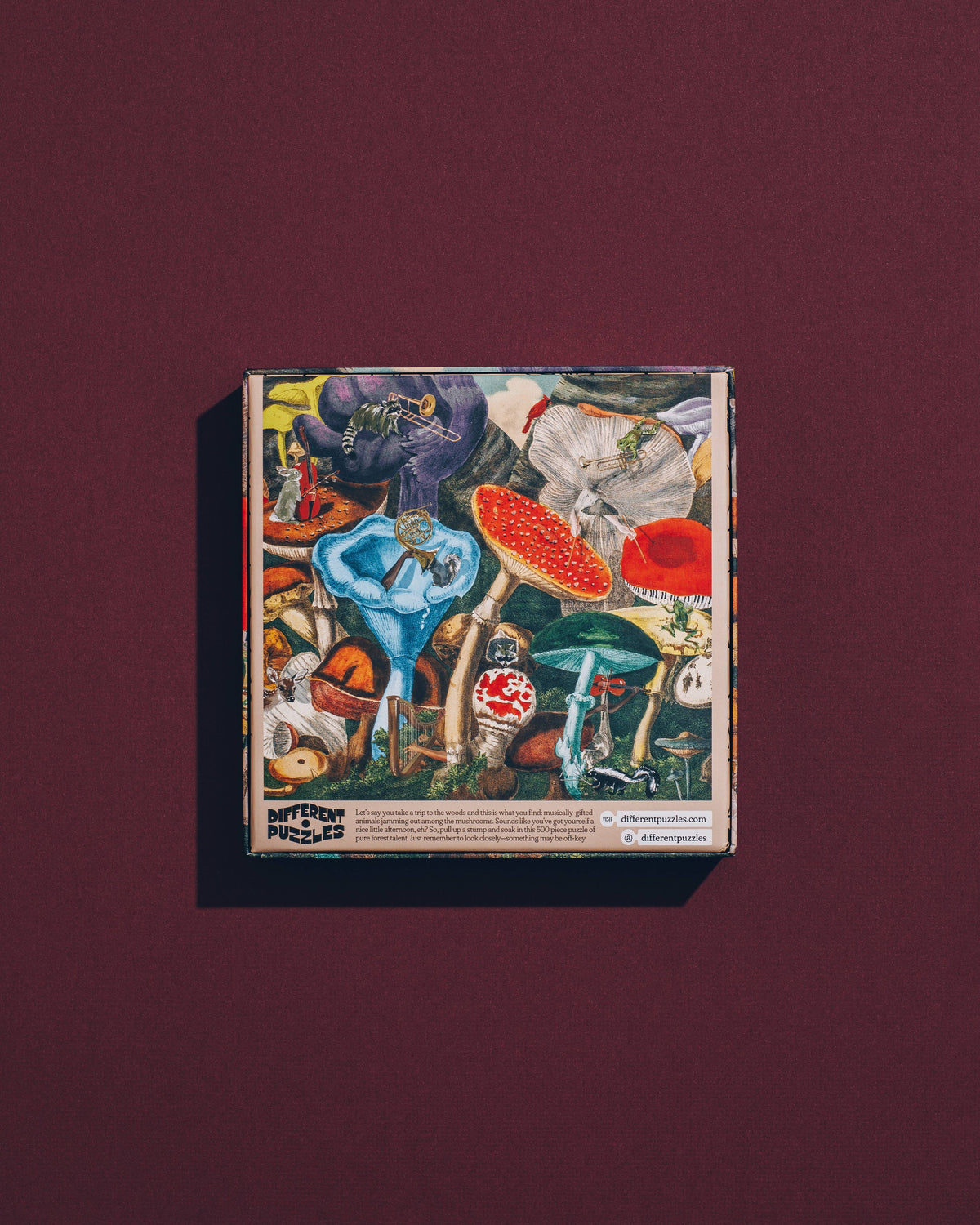 Concerto Champignon – 500 pieces