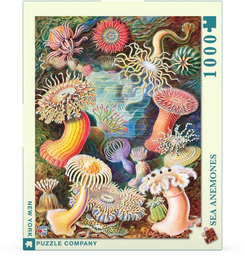 Sea Anemones - 1000 Piece Jigsaw Puzzle